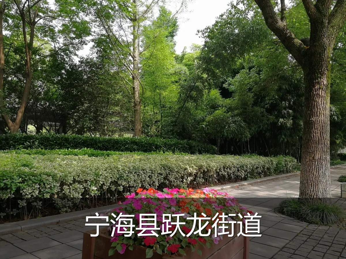 宁海县跃龙街道