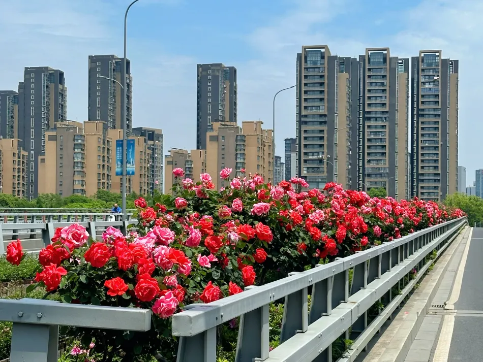 江北区江北区移动宽带